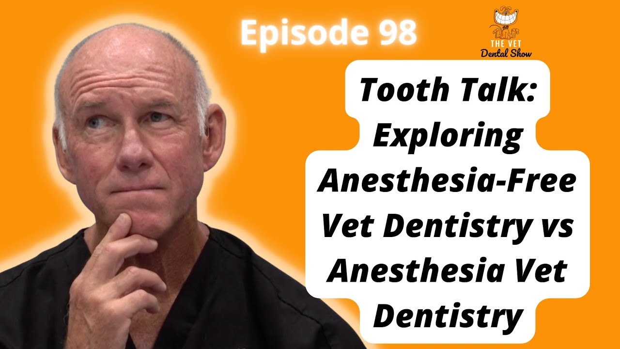 Ep 98 Tooth Talk Exploring AnesthesiaFree Vet Dentistry vs