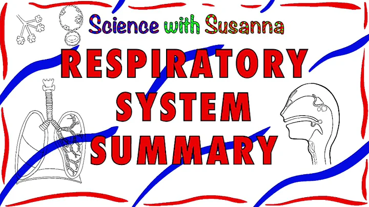 Respiratory System Summary