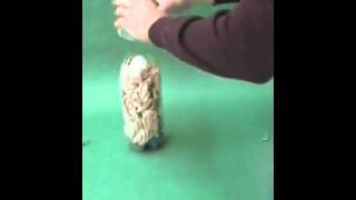 Egg Drop
