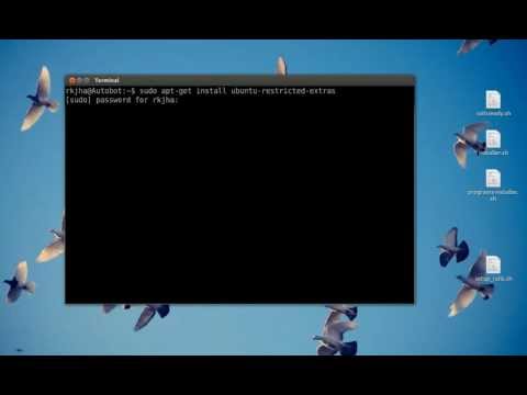 Install Adobe Flash Player on Ubuntu 12.04 LTS/14.04