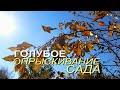 ОБЯЗАТЕЛЬНО сделайте такую ОБРАБОТКУ САДА! Советы от ЗЕЛЕНОГО ОГОРОДА!