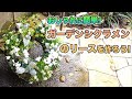 【 誰でも簡単に作れる! 】ガーデンシクラメンのリース