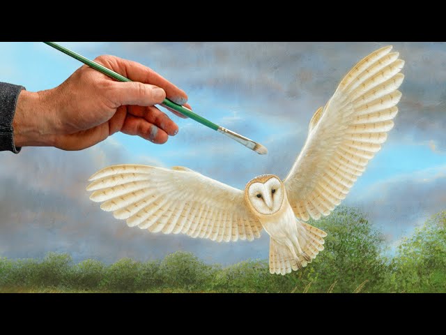 Painting a Barn Owl | Wildlife Art | Robert E Fuller - YouTube