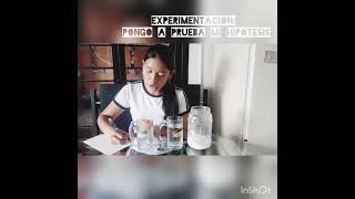 Metodo Cientifico Experimento Paso a Paso