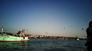 Gujarat -The incredible india screenshot 5
