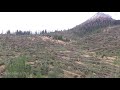 Maltempo: la strage di alberi sulle Dolomiti, vento a 190 km/h. Passo Costalunga, Lago di Carezza.