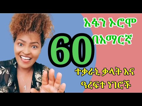 Learn Afan Oromo አፋን ኦሮሞን በአማርኛ English Conversation Afaan Oromoo ተቃራኒ ቃላቶችOromo Kemo Tube