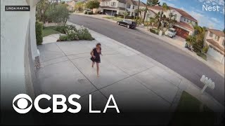 Rattlesnake bites Stevenson Ranch woman while she tends her garden