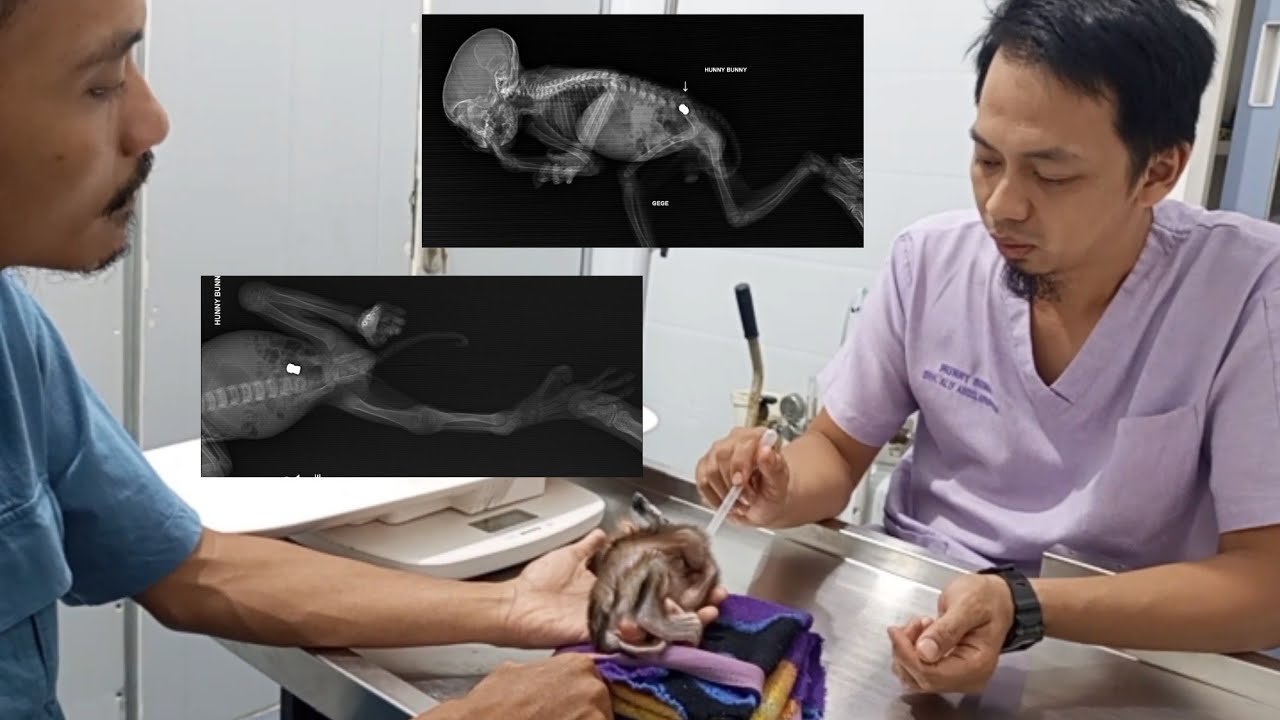 Я была очень расстроена и потрясена, когда врач объяснил результаты рентгеновского снимка Геге 😭😭😭