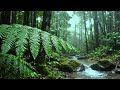 Lost in the forest amidst a torrential downpour - the sound of heavy rain for deep sleep, relaxation
