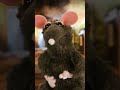 EXCLUSIVE: Interview with Putin's childhood enemy #PuppetRegime #Putin #Puppet