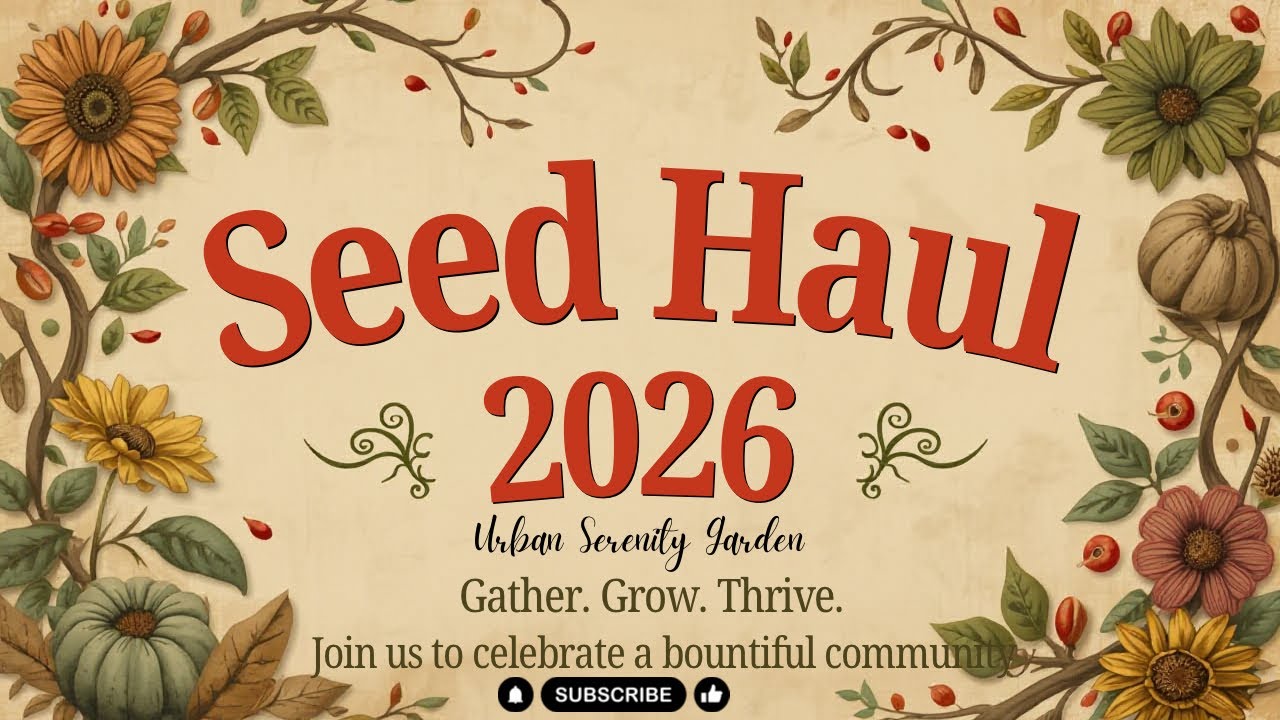 Seed Haul 2026