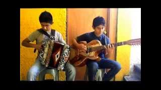 Video thumbnail of "Playa sola Cover - Diego & Fernando"