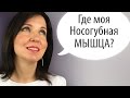 ГИМНАСТИКА для ЛИЦА - Вред или Польза?