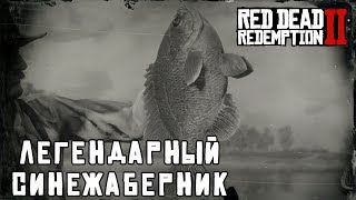 ЛЕГЕНДАРНЫЙ СИНЕЖАБЕРНИК – рыбалка в RDR 2