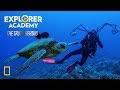 Underwater Photography and Marine Life