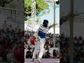 Golden moments of M-58kg | Roma 2026 World Taekwondo Grand Prix Series