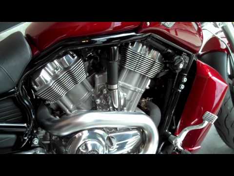 V-Rod Muscle Motorcycle - Green Mountain Harley-Da...