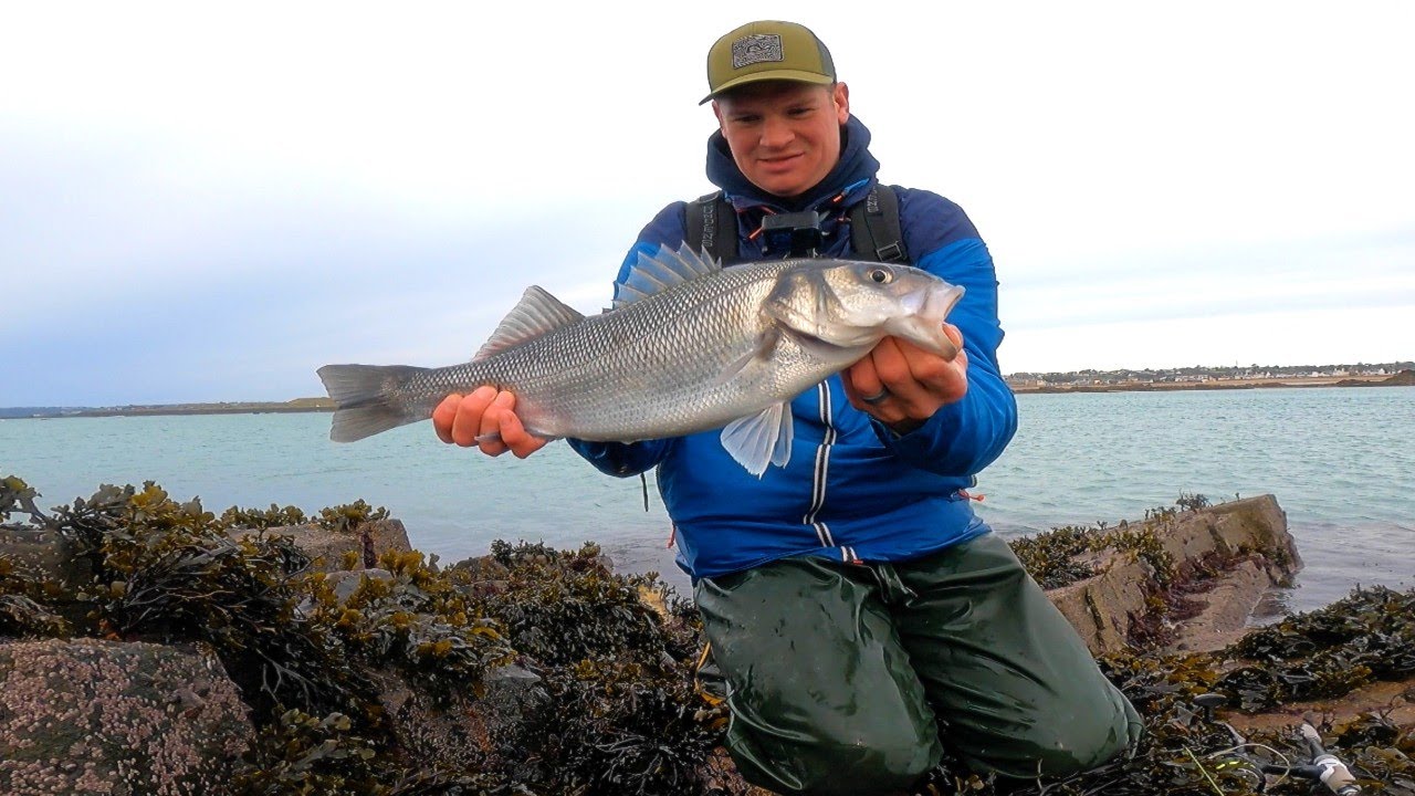 Ive Been SEARCHING For this FEELING for a While – WINTER LURE FISHING FOR BASS – Wading on a BEACH