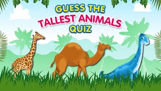 ANIMALS QUIZ | Guess the Tallest Animal | Fun Challenge for Kids
