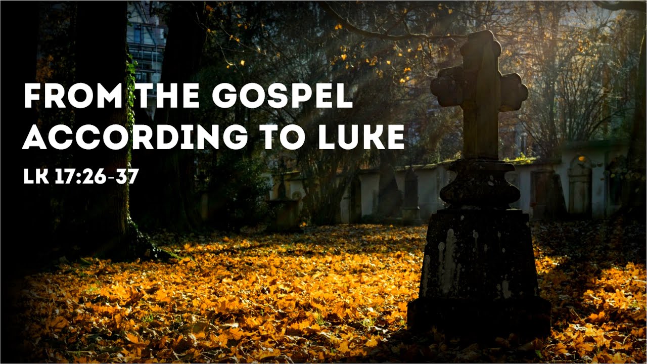 Today s Gospel Reading Reflection November 12 2021 Luke 17 26 today-s-gospel-reading-reflection-november-12-2021-luke-17-26