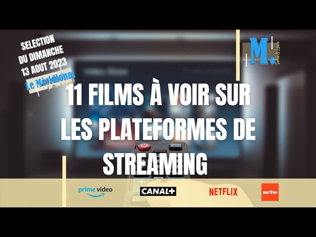 Sorties et loisirs - 11 films à voir sur les plateformes de streaming