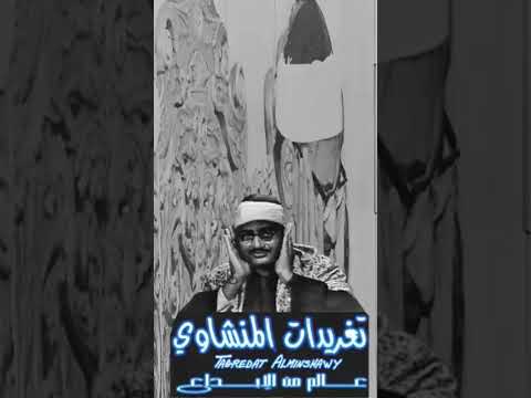 تغريدات المنشاوي