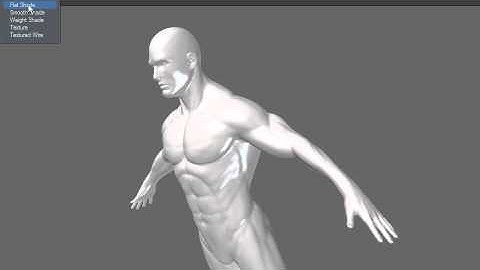 LightWave UI - OpenGL, Speed