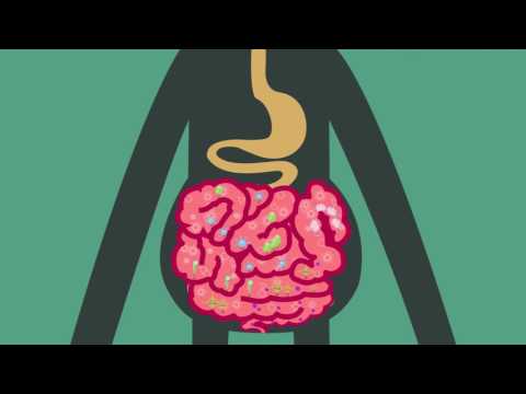 Video [Book trailer] Ruột ơi là ruột - youtube