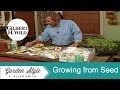 Seed Storage & Organizing: Are my seeds good? | Garden Style (1001)