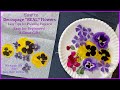 How to Decoupage “REAL” Pansies onto Rocks | Easy Tips for Pressing Flowers | Great Gift