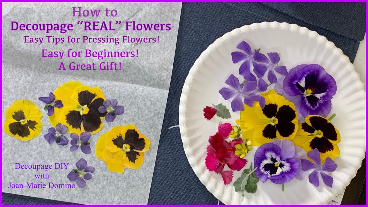 how-to-decoupage-real-pansies-onto-rocks-easy-tips-for-pressing