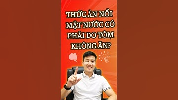 Thức ăn nổi mặt nước – Có phải do tôm không ăn?