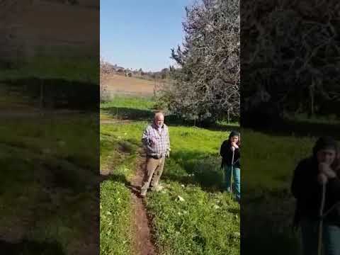 معركة الونة في عرب الصبيح المهجرة يرويها الاستاذ عيسى ذياب ابن القرية