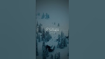قران كريم سورة النبأ بصوت خشوع ❤️