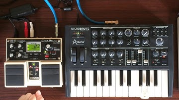 #251 Arturia MICROBRUTE BOSS DD-20
