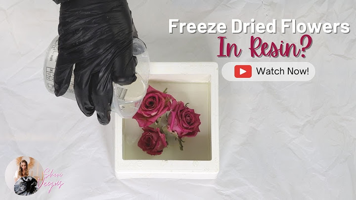 Can You Put Freeze Dried Flowers In Resin?