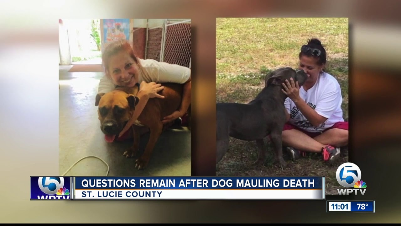 Questions remain after dog mauling death YouTube