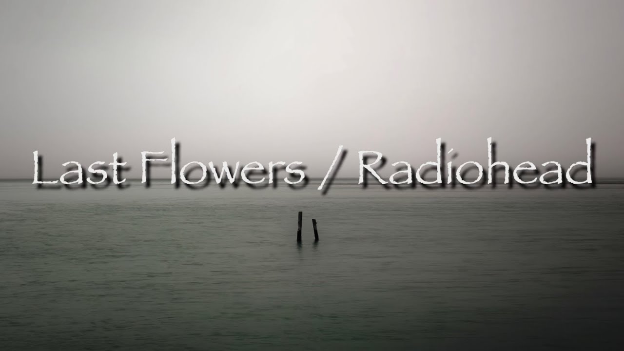 Last Flowers / Radiohead (cover) YouTube
