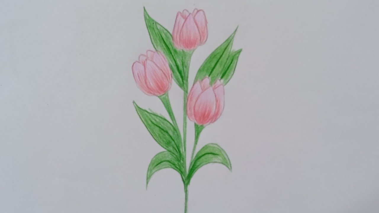 How to Draw Beautiful Pink Flowers 🌷🎨