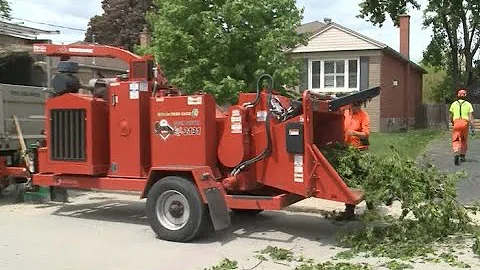 Burlington residents continue to clean-up after th...