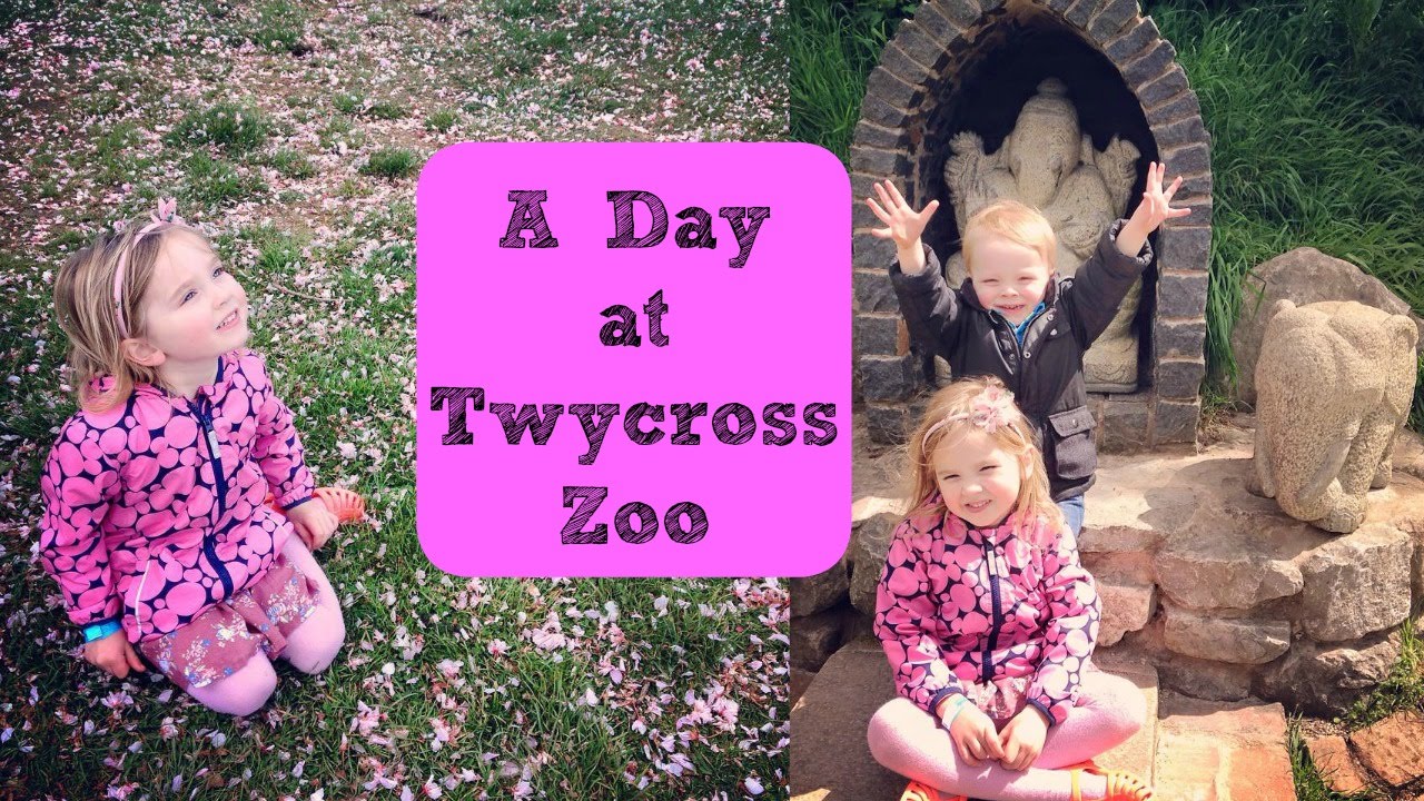 Twycross Zoo A Day Out YouTube