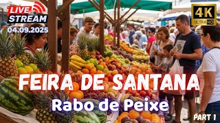 🎥 "Discover the Azores Like Never Before – Real People, Real Moments" Santana - Rabo de Peixe (1/2)🌱