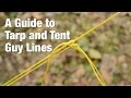 A Guide to Tarp and Tent Guy Lines