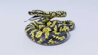 Animated Game Ready Zebra Jungle Carpet Python 3D Model