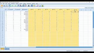 How to Clear Your Data Sheet in SPSS