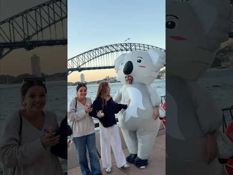 Embarrassing my daughters dressed as a koala in Sydney