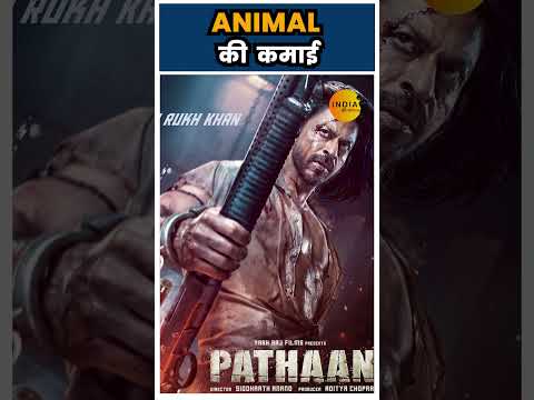 ANIMAL Movie box office Collection | INDIA  KI AWAAZ