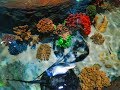 Невероятный подводный мир. Океанариум Винперл часть 2. Нячанг Вьетнам