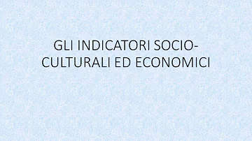 Quali sono gli indicatori socio economici?